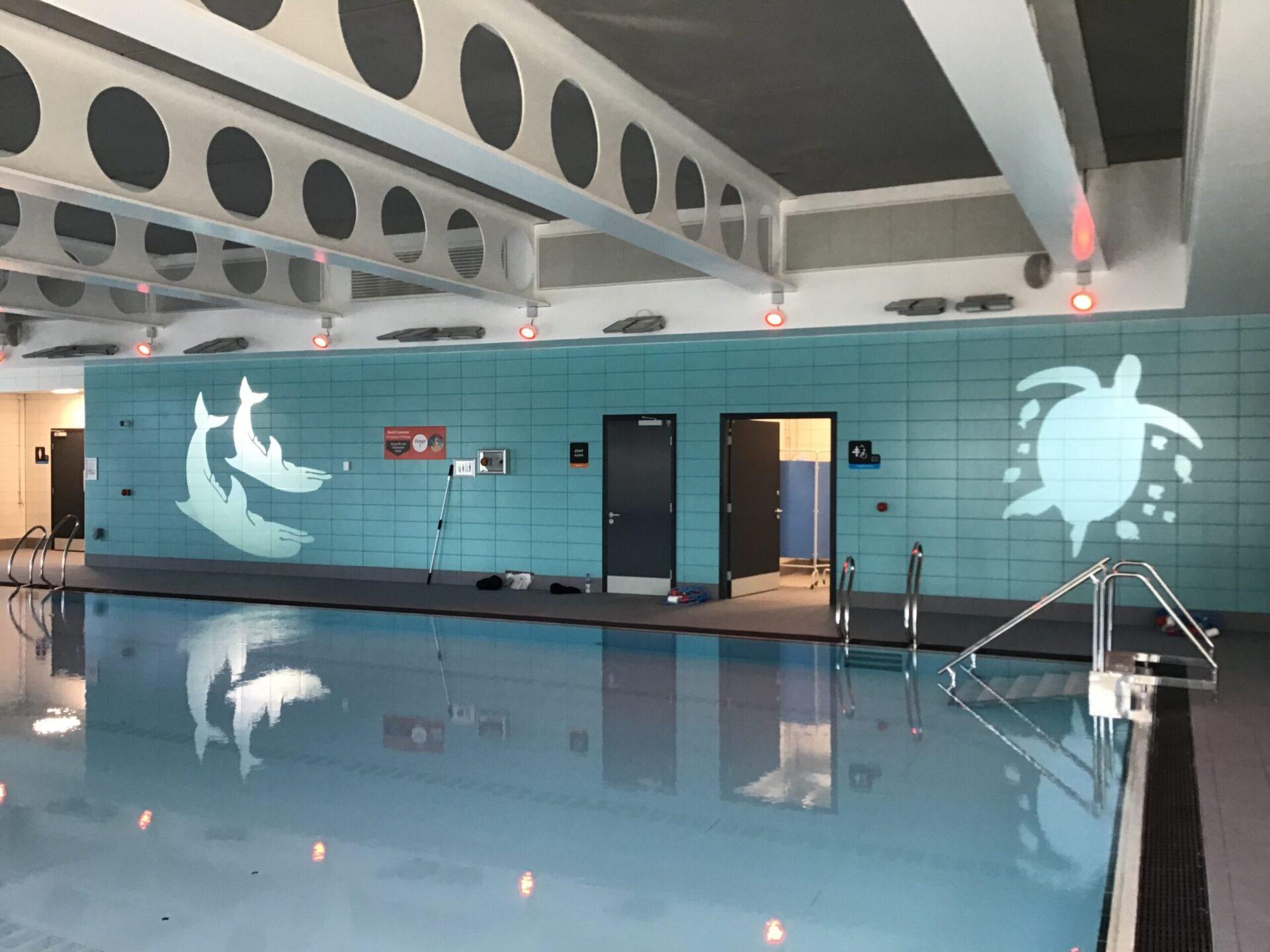 Gobo Pro+ - Image 4