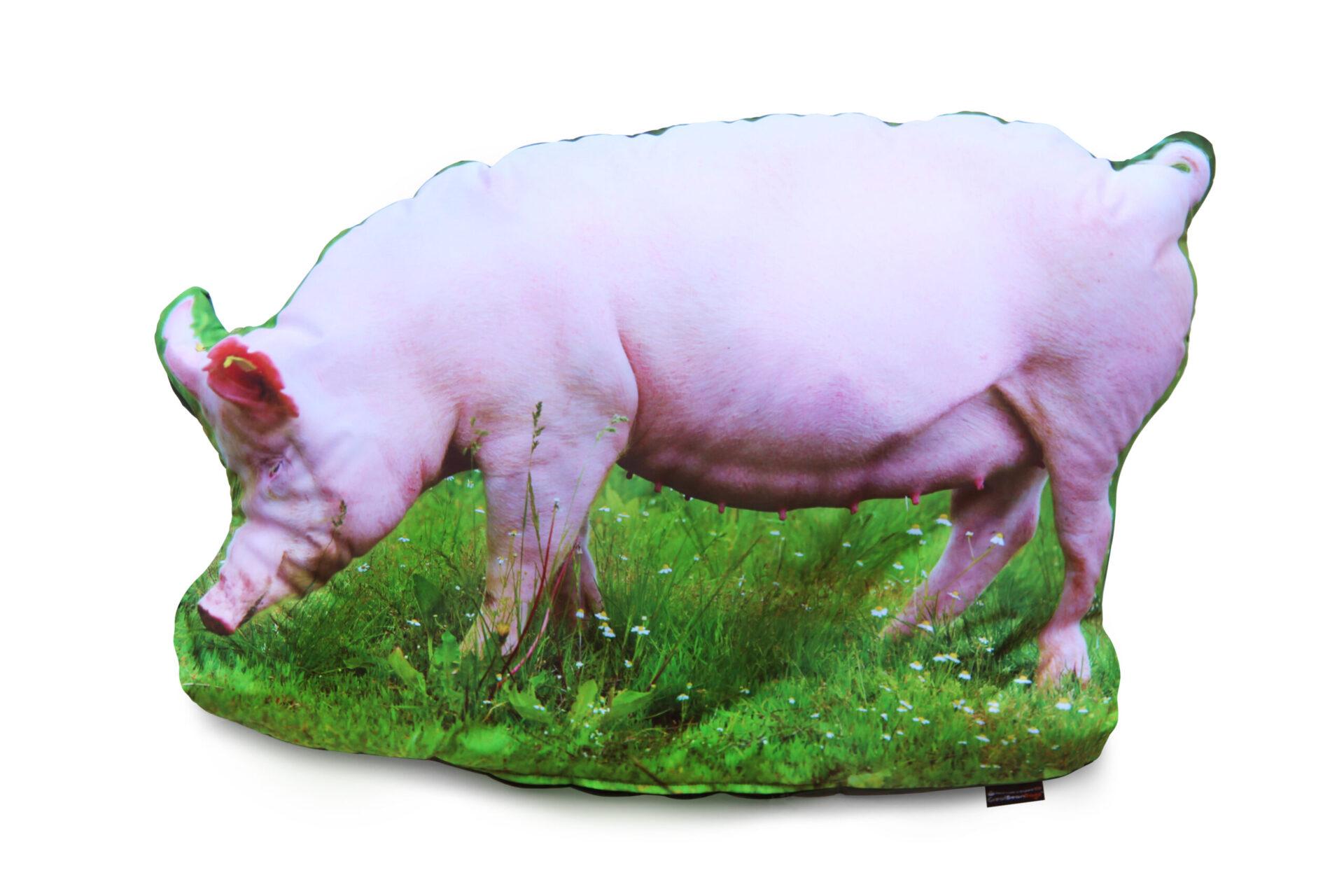 Farm Animal Collection (Set of 3) - Image 3