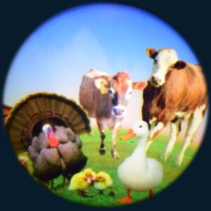 Farm Animals