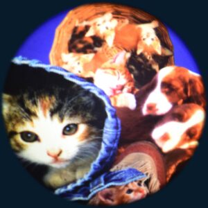 Fluffy Pets