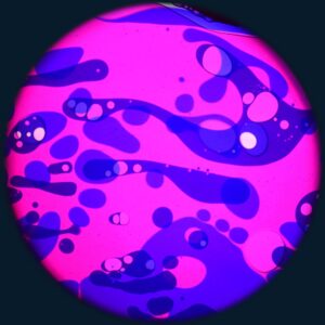 Liquid Wheel C - Pink Lady